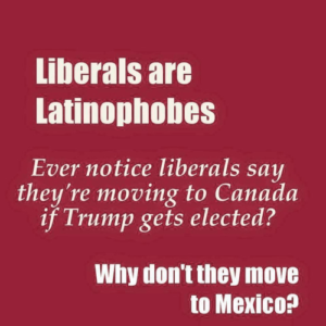stupid-liberals-racist-against-mexico