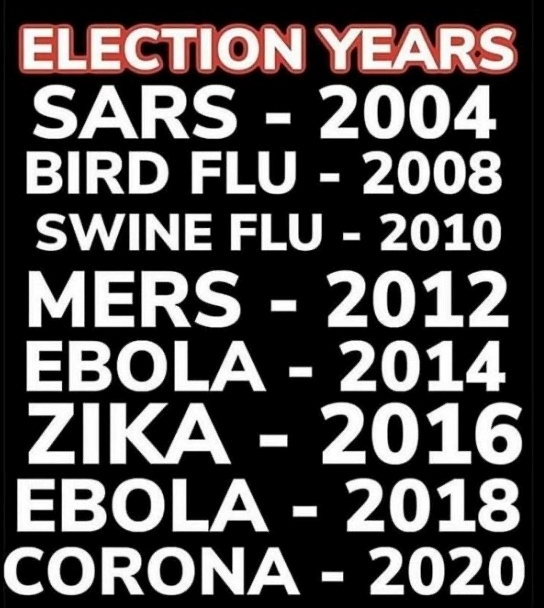 Election Year Viruses